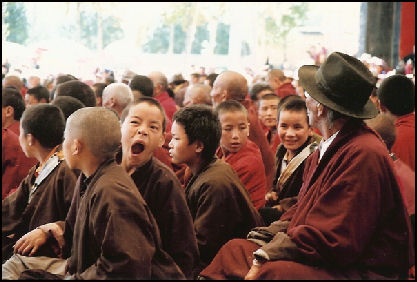 20080228-tibet-yawn julie chao.jpg